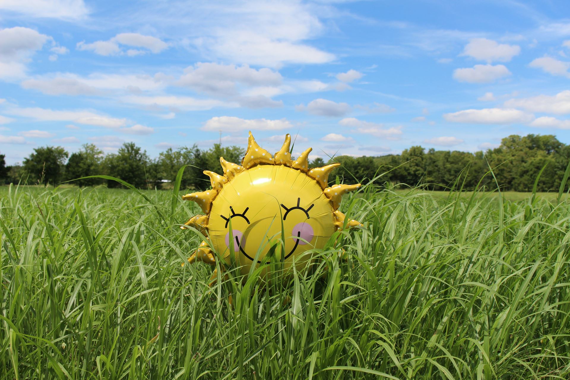 a sunshine ornament in a sunny field